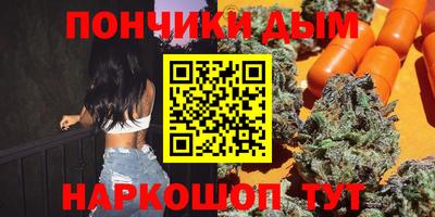индика Кандалакша